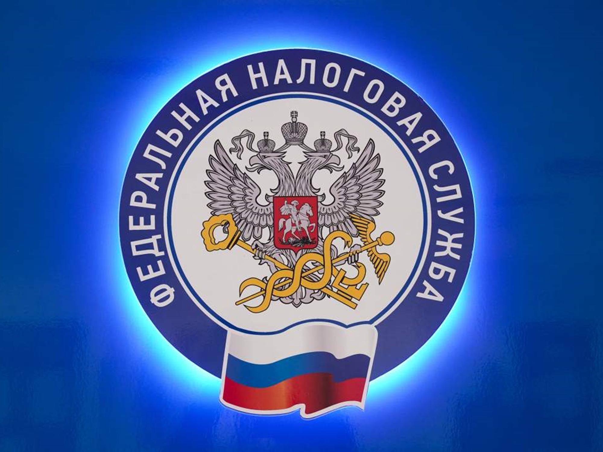 Услуги налоговой службы можно получить онлайн.