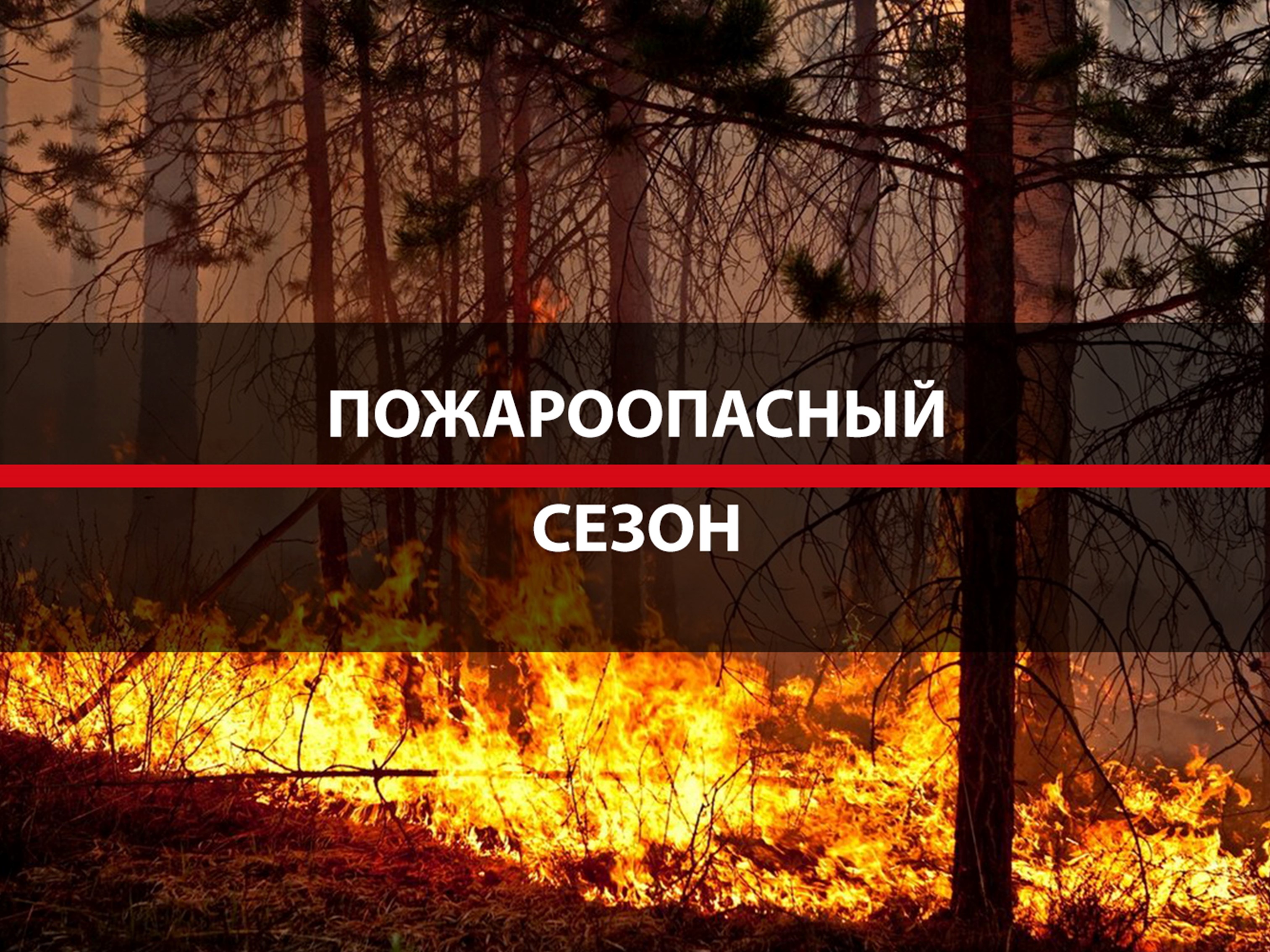 Останови огонь!.