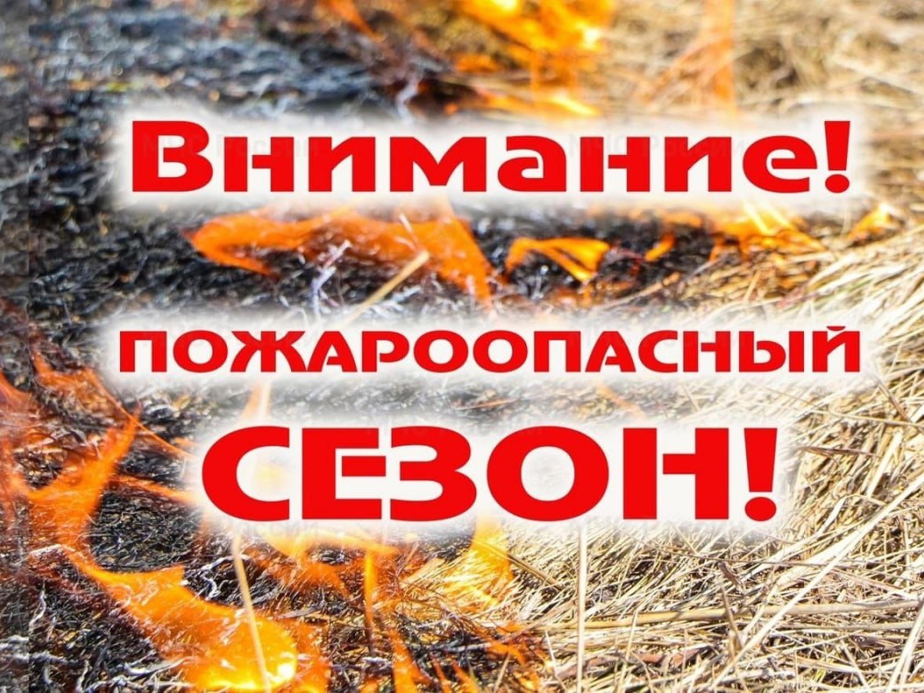 С 10 апреля в Курганской области начинает действовать пожароопасный сезон.