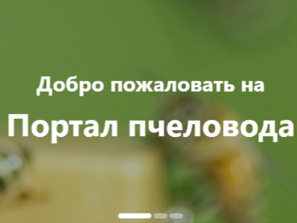 Методические рекомендации.