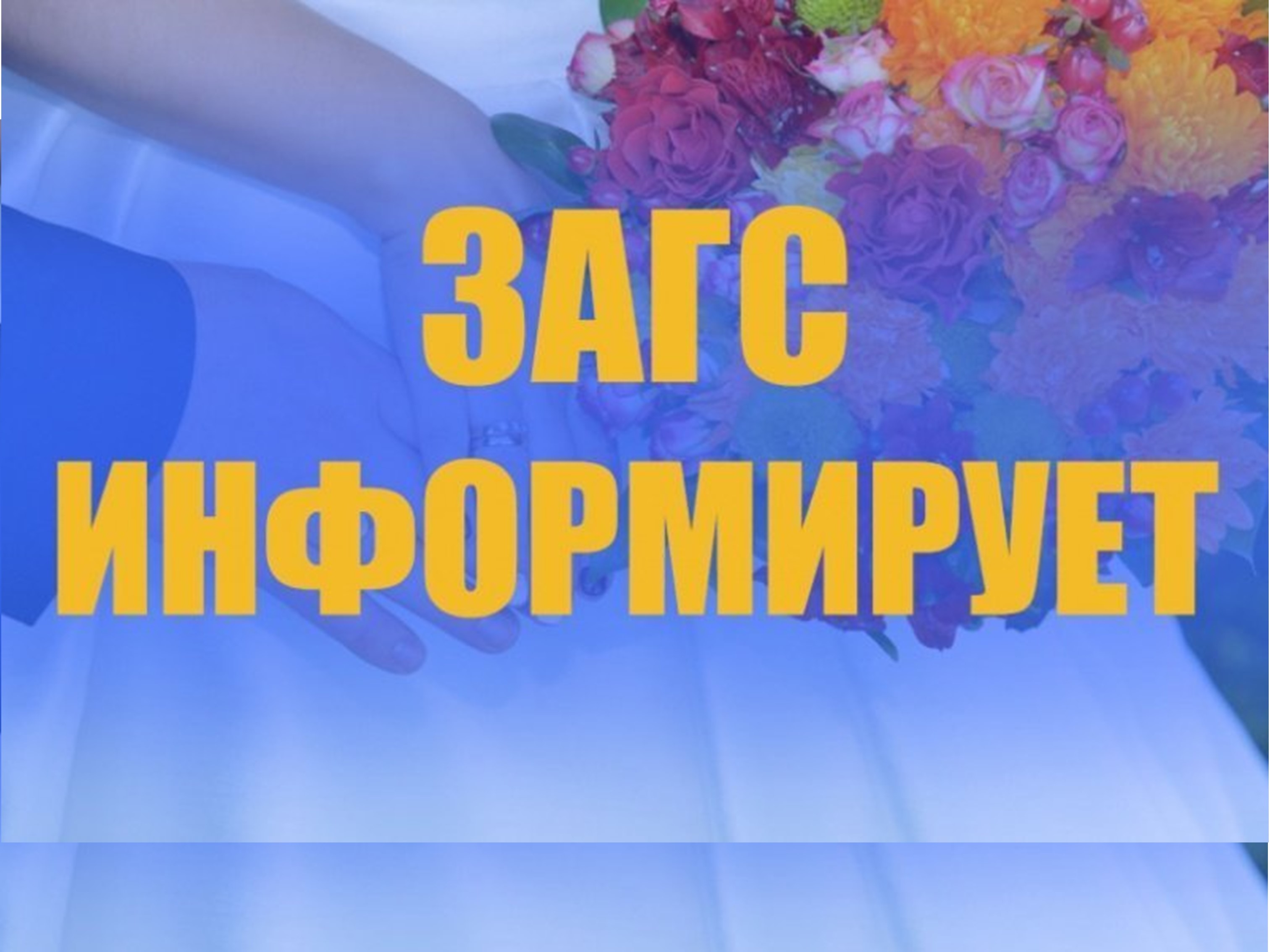Информация о рождаемости за 2024 год.