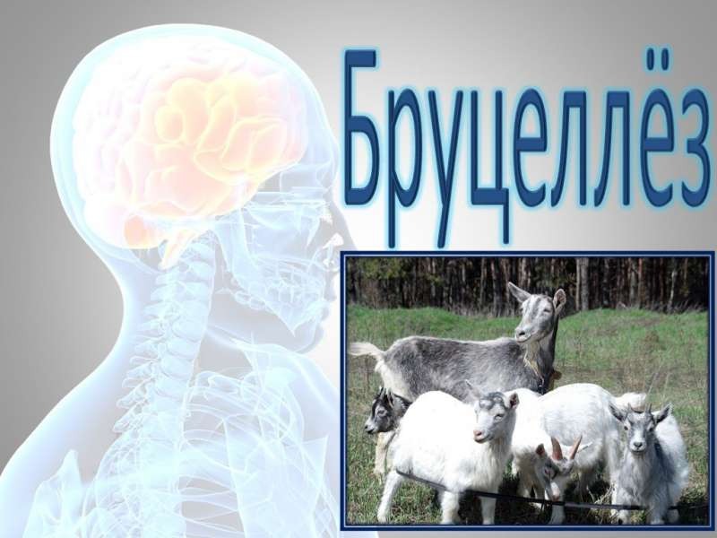 Памятка.